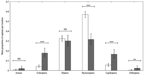 Insects in the City: Does Remnant Native Habitat Influence Insect Order ...