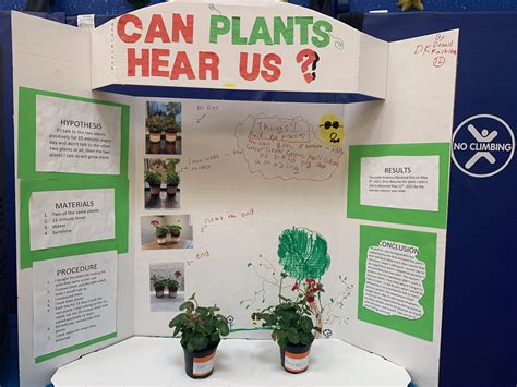 Creative Science Fair Board Ideas