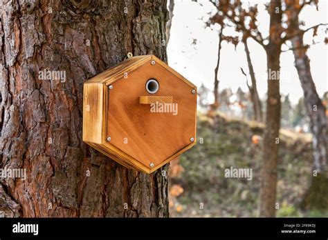 How to Make a Bumble Bee House 的图像结果