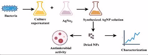 Green synthesis of silver nanoparticles using soil bacteria and its ...