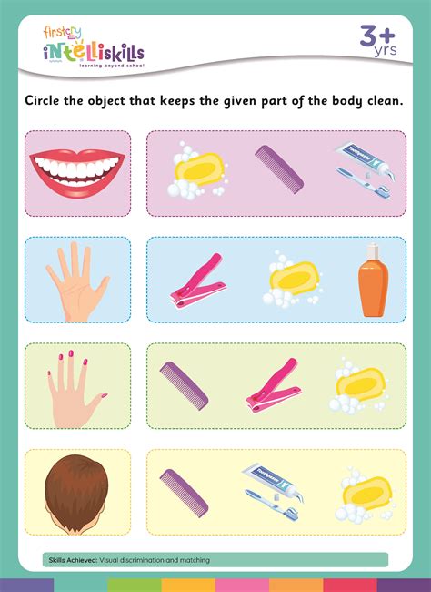 Circle Objects Pictures