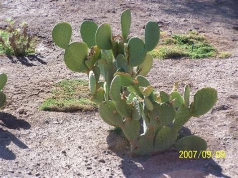 El Centro Tourism (2024): All You Need to Know Before You Go