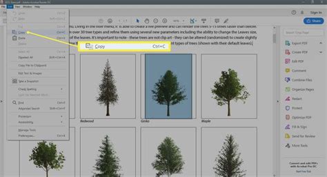 Image result for How to Copy Text From Image Using PDF