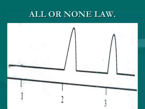 Properties of cardiac muscles | PPT