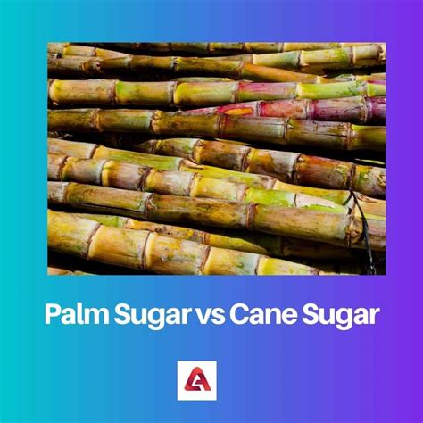Palm Sugar Vs Sugar Cane at Gregory Lawerence blog