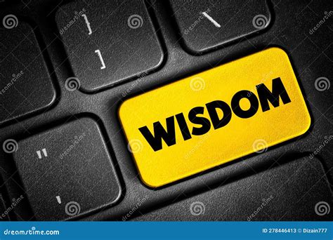 Insight Knowledge Wisdom 的图像结果