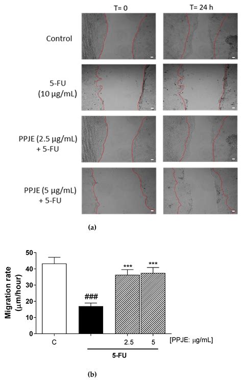 Protective Effect of Pomegranate on Oxidative Stress and Inflammatory ...