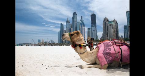 11,914 Cheap Flights to the United Arab Emirates in 2026 | momondo