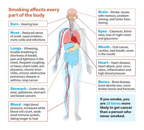 Smoking Related Stomach Problems at Mae Burley blog