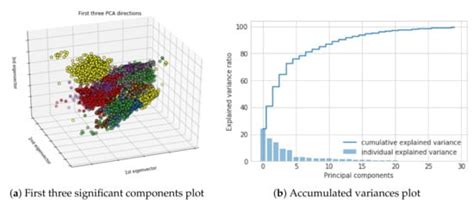 Recognition and Repetition Counting for Local Muscular Endurance ...