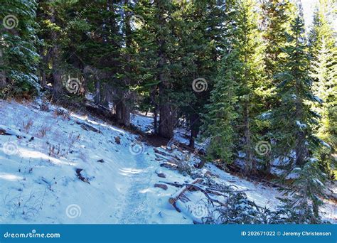 Red Pine Lake Trail Mountain Landscape Scenic Towards White Baldy and ...