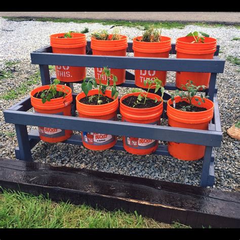 Diy 5 Gallon Bucket Planter System