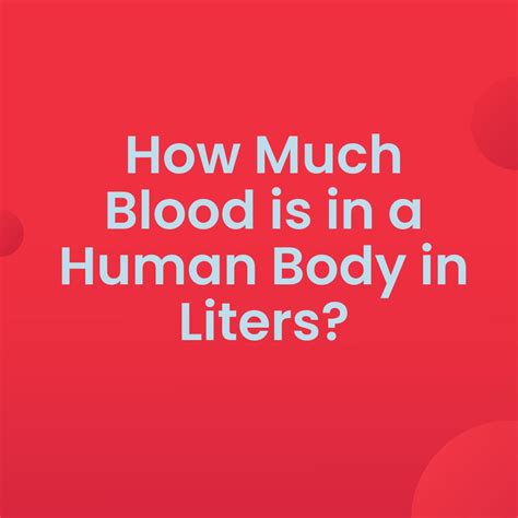 How Much Blood is in a Human Body in Liters?