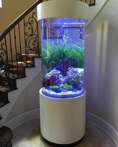 Custom-made Cylinder Tank Fish — RedFin Aquarium Design | atelier-yuwa ...