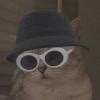 If the point (x, y) is in Quadrant III, which of the following must be ...