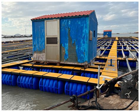 Research on Sea Trial Techniques for Motion Responses of HDPE Floating ...