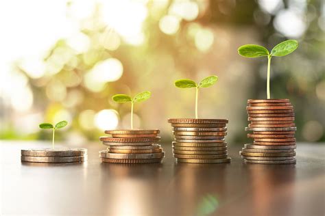 Corporate Governance Statement Example 的图像结果