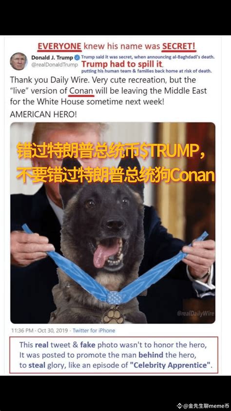 $DOGE Musk is not the only one who has Dogecoin. Trump's pr | 金先生聊meme币 ...