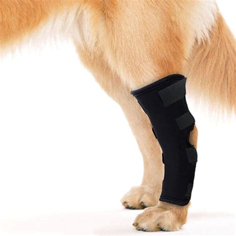 Amazon.com : PETILUCK Waterproof Dog Leg Braces for Back Leg Canine ...