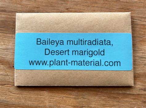 Baileya multiradiata, Desert Marigold Seed Pack – Plant Material