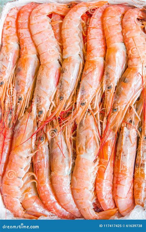 Argentine red Shrimp stock image. Image of food, seafood - 117417425