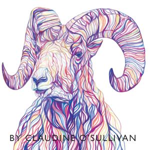 Derwent Coloursoft Softest Colouring Pencils Tin, Drawing & Writing ...