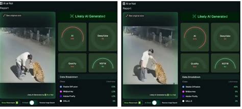 Drunk Man Pets Tiger, Offers It Liquor In Pench? Here’s The Truth ...