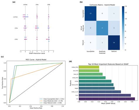 Exploring Drought Response: Machine-Learning-Based Classification of ...