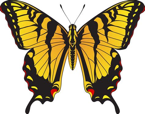 Tiger Swallowtail Butterfly - Yellow and Black Striped Butterfly Vector ...