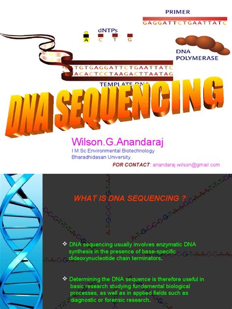 DNA Sequencing Methods 的图像结果