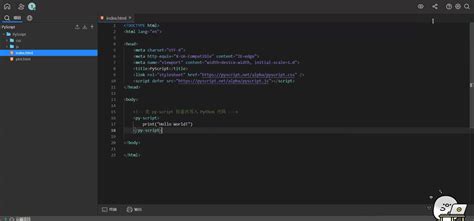 Python Code in HTML 的图像结果
