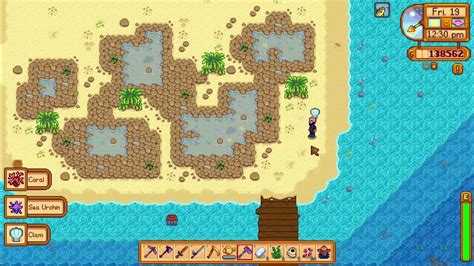 Where to get Sea Urchins in Stardew Valley For Beginners - YouTube