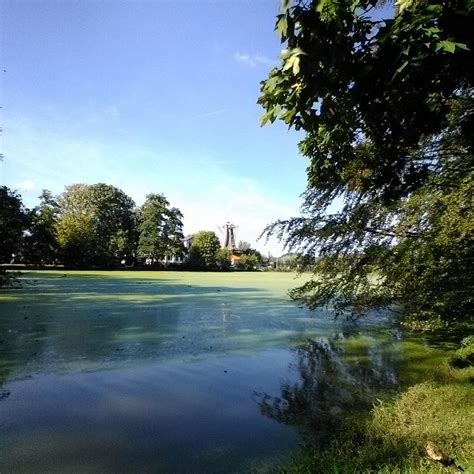 KRALINGSE BOS (2026) All You Need to Know BEFORE You Go (w/ Reviews ...