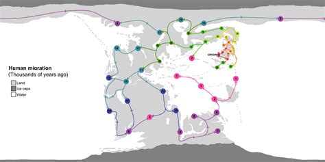 Human Migration Patterns 的图像结果