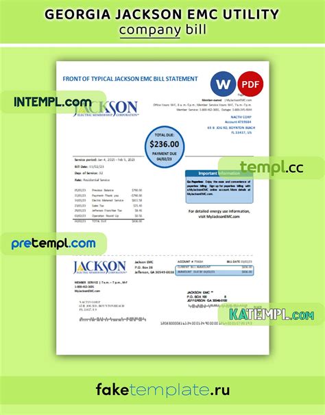 Georgia JACKSON EMC business utility bill, Word and PDF template | by ...