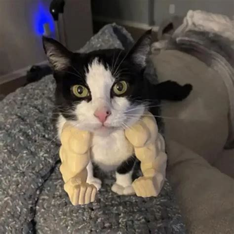 Funny 3D Printed Cat Arm Prop 2026 - $8.49