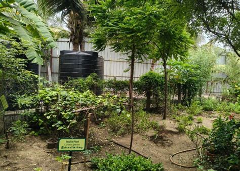 Green Campus