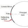 draw a diagram showing pole,focus and centre of curvature of a convex ...