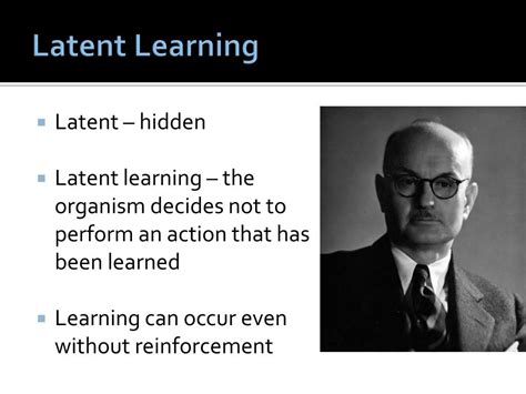 Observational Learning 的图像结果