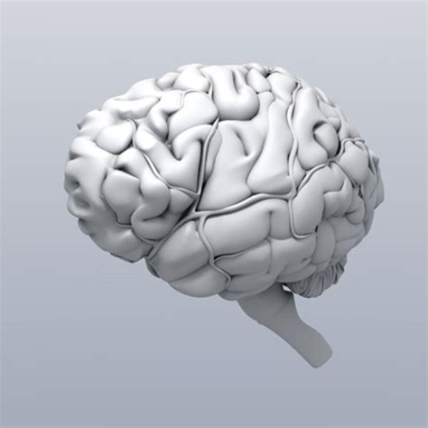 Image result for Brain Machine Learning Vector