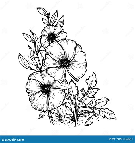 Black Outline Flowers Bush Botanical Vector Illustration. Floral Line ...