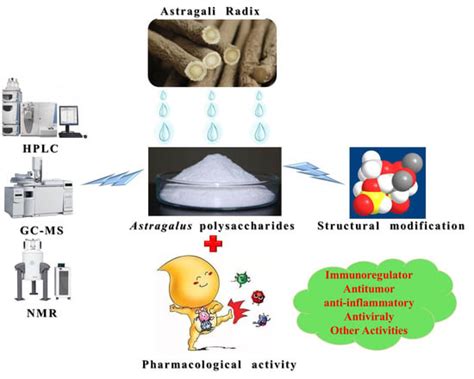 Extraction, Structure, and Pharmacological Activities of Astragalus ...
