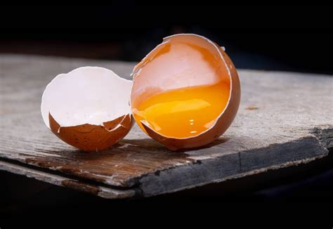 How a Chicken Lays an Egg Inside of an Egg - Backyard Poultry
