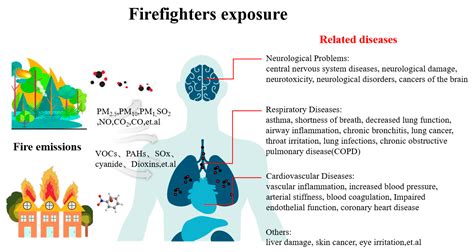Average Lifespan Of Firefighters Explained: Toxicity Risks And Career Choices