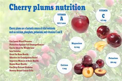 Plums Nutrition Benefits at Arthur Dwyer blog