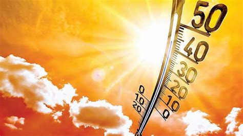 Maximum temp may cross 50 degrees C this summer: Prof. Johare - Pune ...