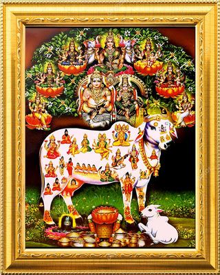 SACRO KJH20_AR73-Sensor LED Shivling Festival LED Light Shivling ...