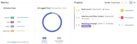 Image result for Teamwork ClientView Dashboard