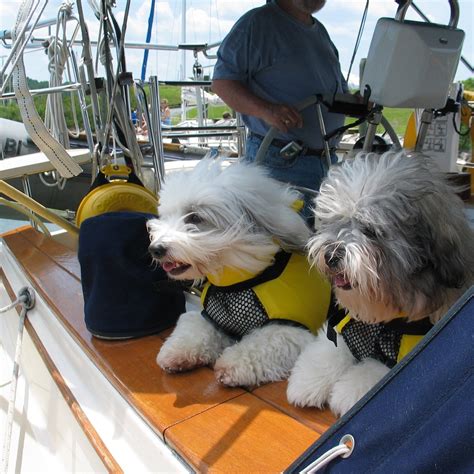 PAWS PET BOUTIQUE - All You Need to Know BEFORE You Go (with Photos ...