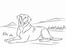 ausmalbilder hunde mischlinge ausmalbilder ausmalbilder hunde zum ausdrucken ausmalbilder hunde mischlinge ausmalbilder ausmalbilder hunde zum ausdrucken
